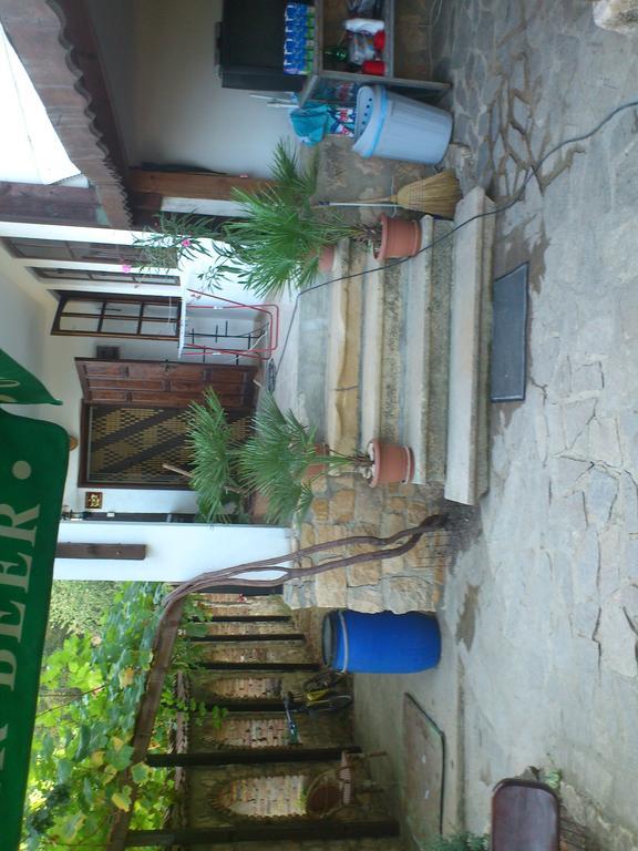 Villa Nasco Golden Sands Esterno foto