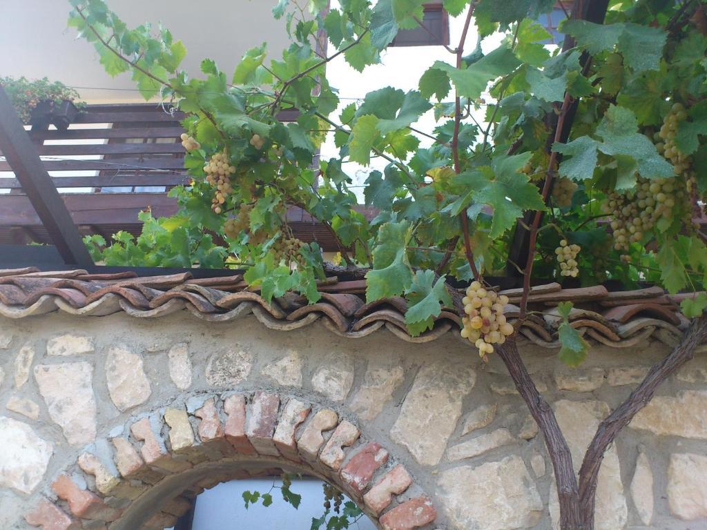 Villa Nasco Golden Sands Esterno foto